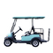 Golf Car 4 Seats New Design 48V Lithium Battery Golf Car Customized Color Optional
