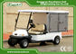 EXCAR 2 seater Electric Utility Carts Hotel Buggy With Customized Cargo LED Headlight